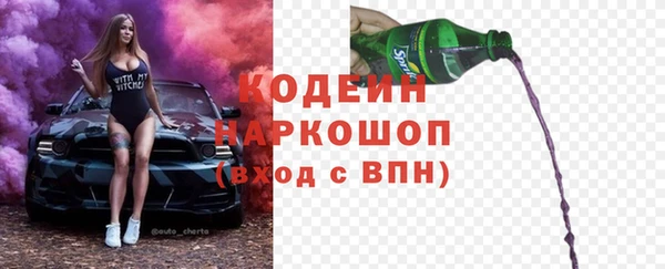 молекула духа Инсар