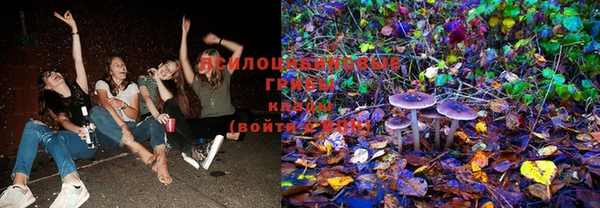 бошки Балахна