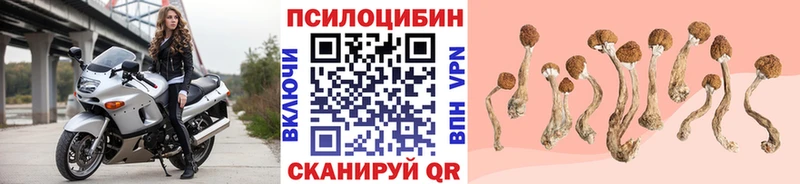 Галлюциногенные грибы GOLDEN TEACHER  hydra ТОР  Белая Калитва  где найти наркотики 
